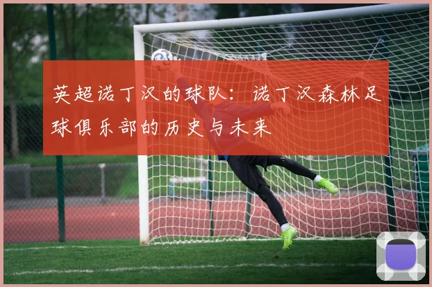 英超诺丁汉的球队:诺丁汉森林足球俱乐部的历史与未来