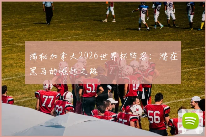 揭秘加拿大2026世界杯阵容：潜在黑马的崛起之路