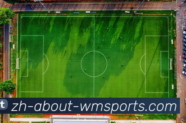 完美体育官网APP 高清赛事图